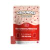 Grounded High Dose Bricks – Strawberry Hibiscus 1000mg
