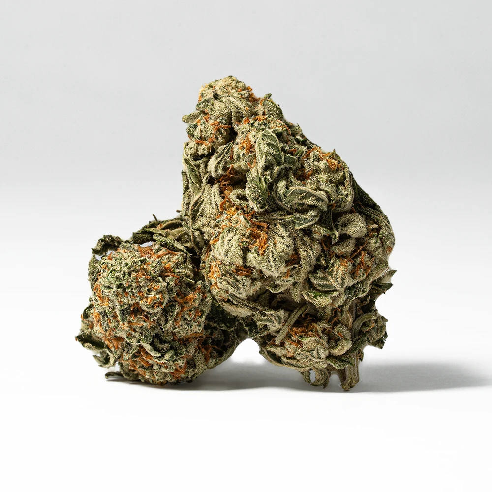 WHITE-WIDOW-1.webp