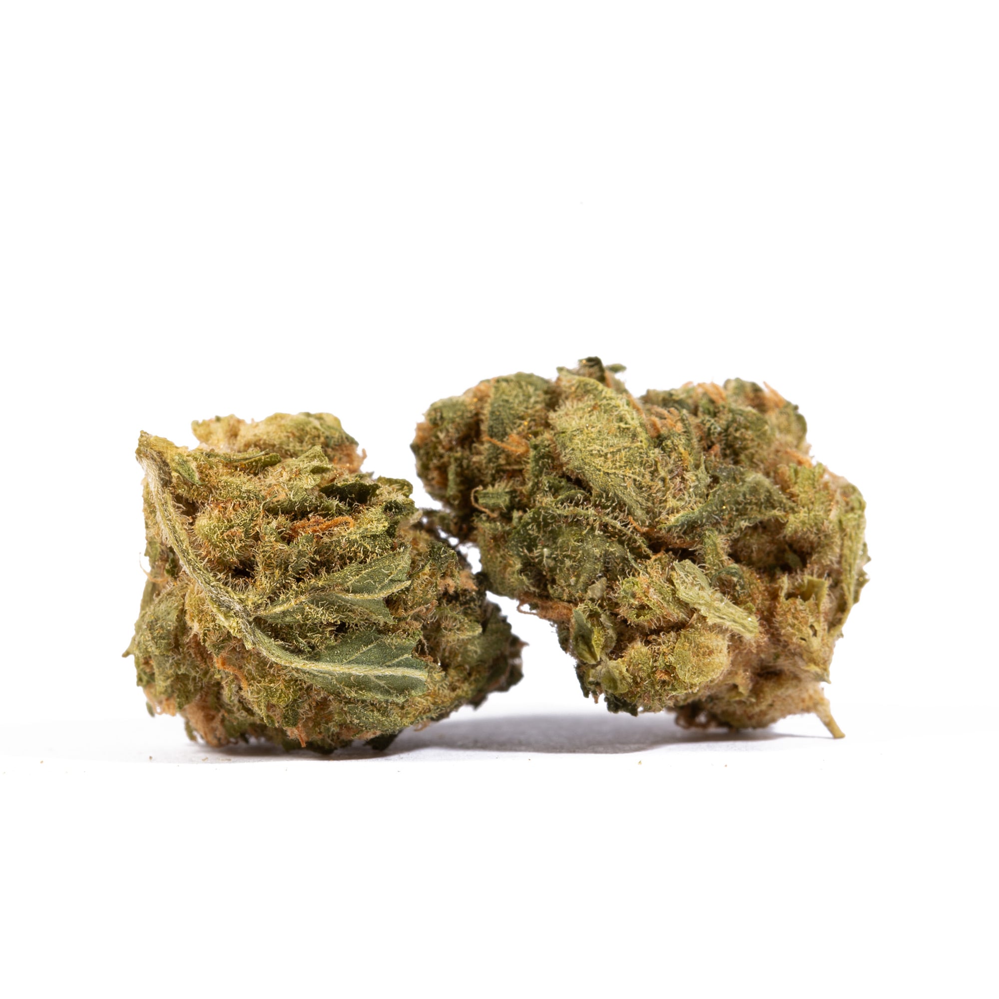 jack-herer-cannabis-sativa-1.jpg