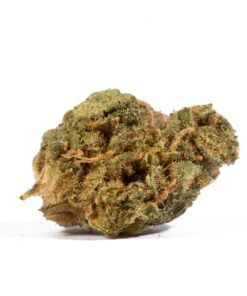 jack-herer-cannabis-sativa-3.jpg