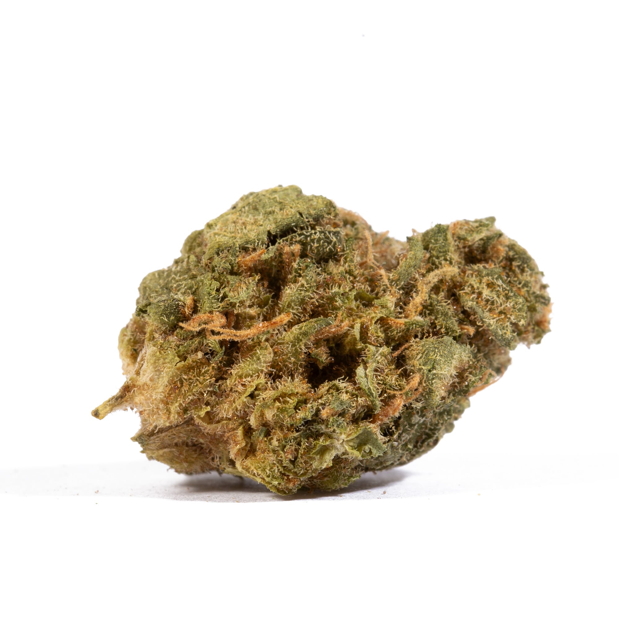 jack-herer-cannabis-sativa-3.jpg