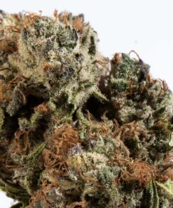 la-confidential-cannabis-indica-4.jpg