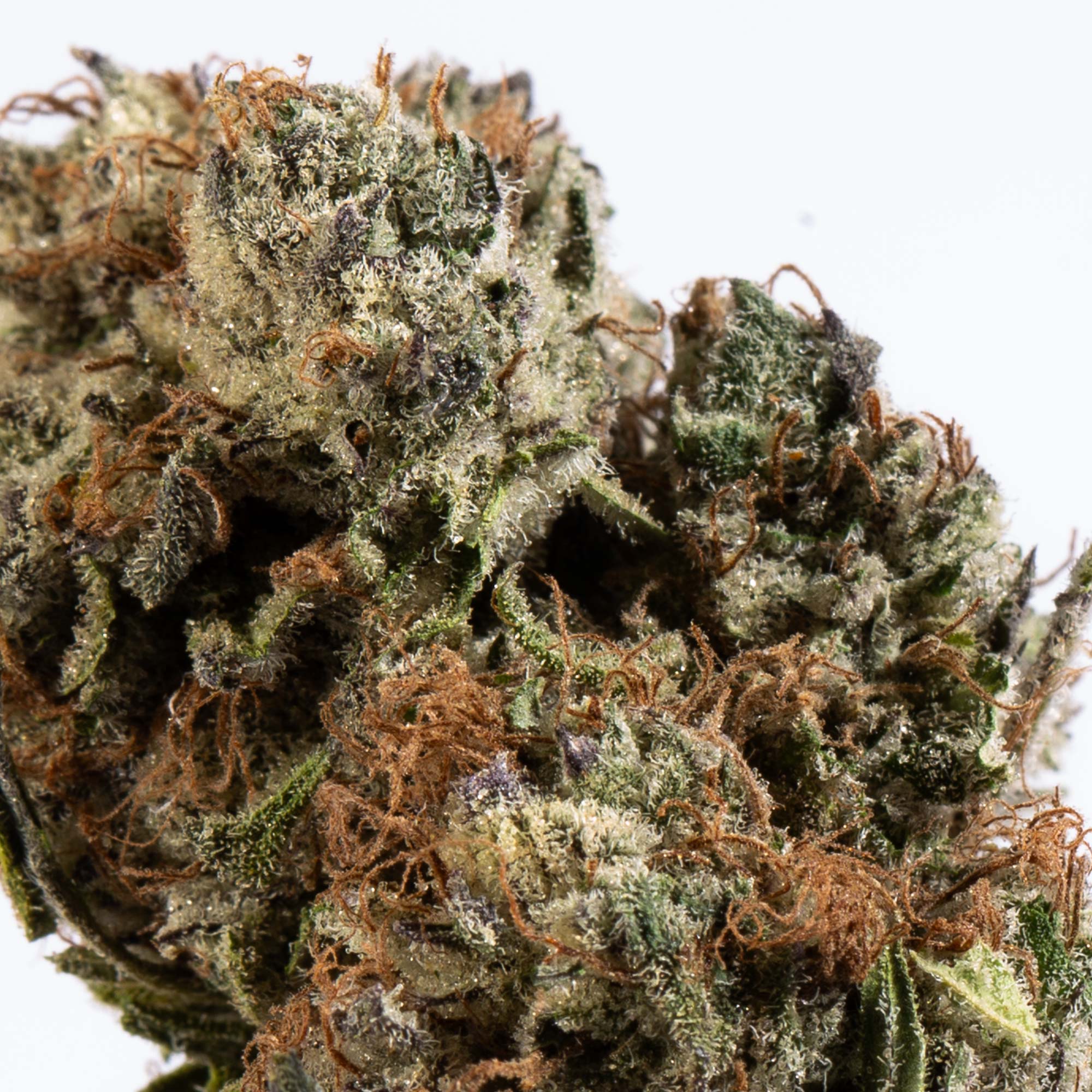 la-confidential-cannabis-indica-4.jpg