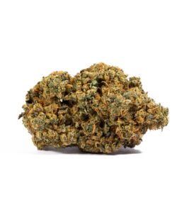orange-mints-cannabis-hybrid-3.jpg