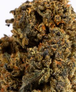 orange-mints-cannabis-hybrid-4.jpg