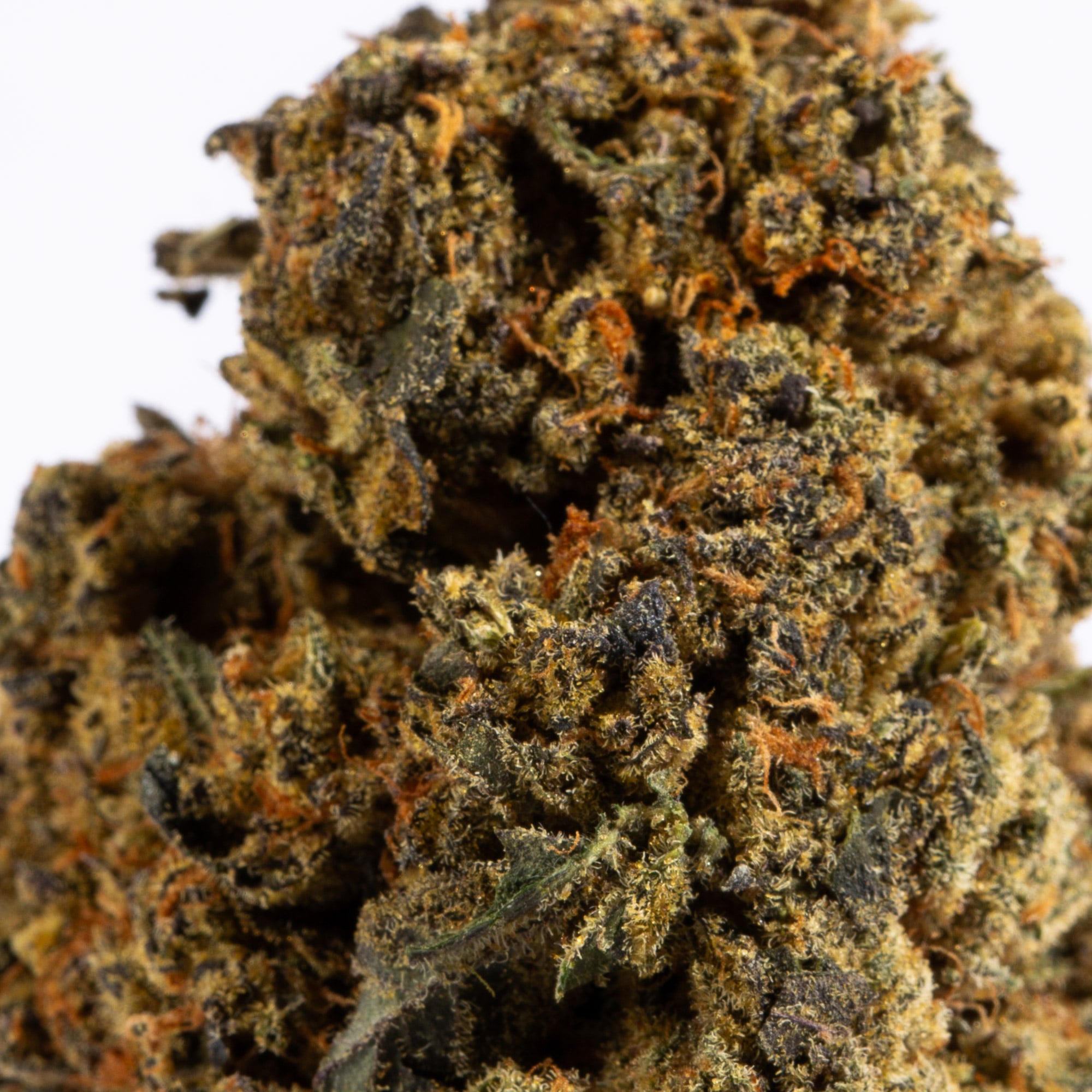 orange-mints-cannabis-hybrid-4.jpg