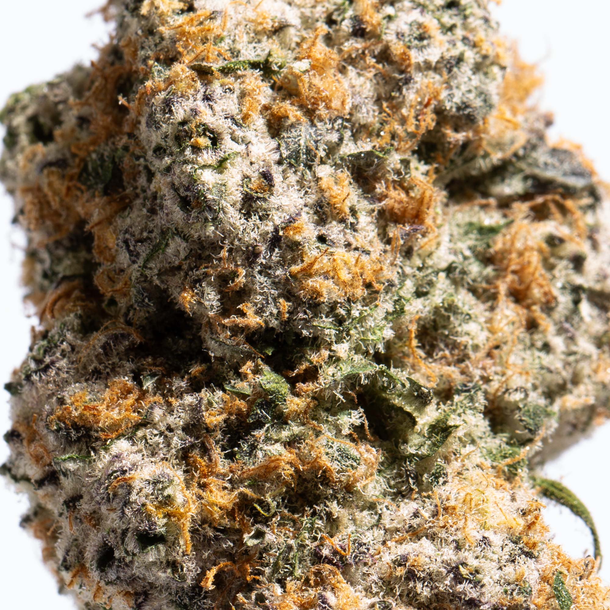 slurricane-cannabis-indica-4.jpg