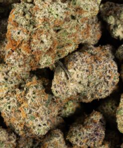 slurricane-cannabis-indica-5.jpg