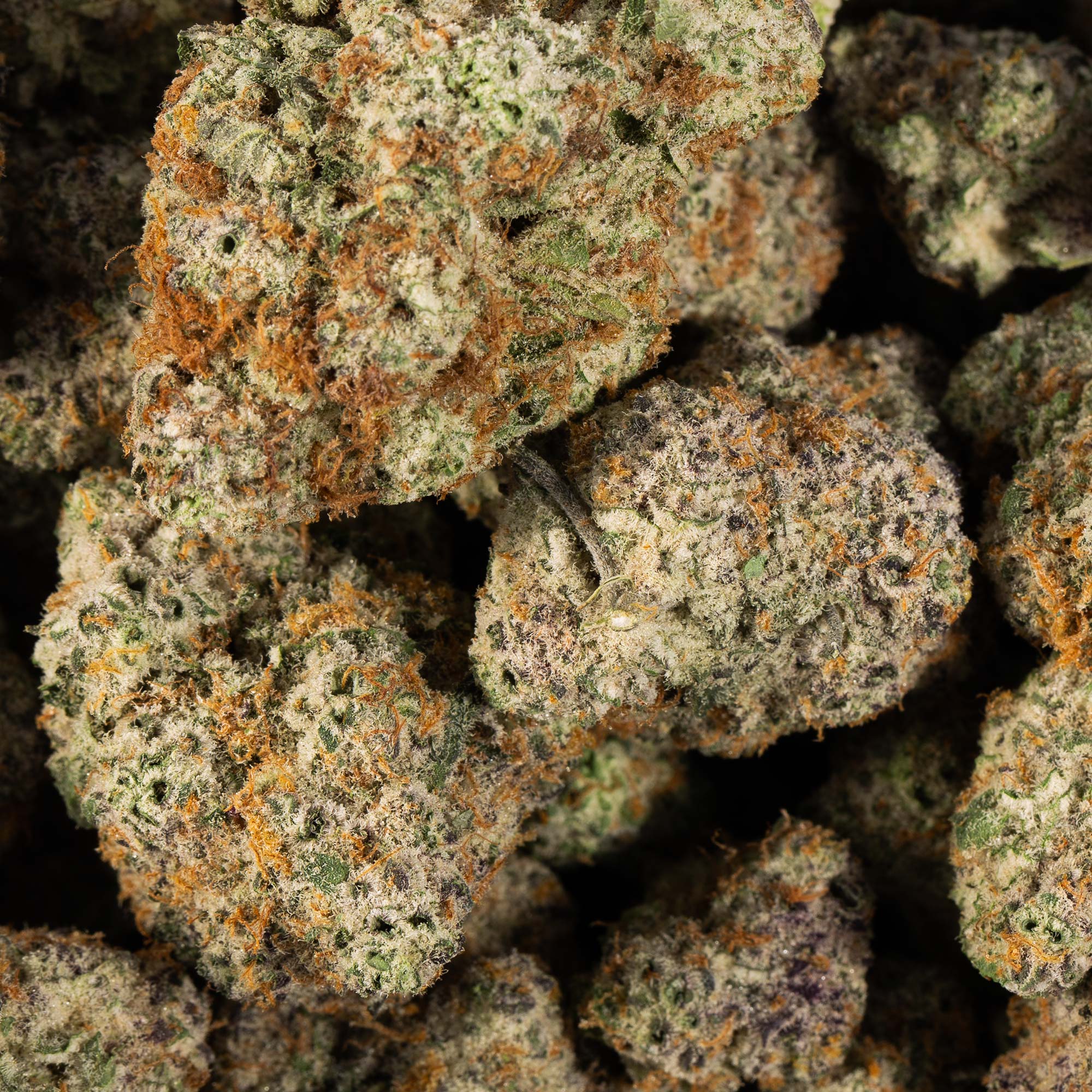 slurricane-cannabis-indica-5.jpg