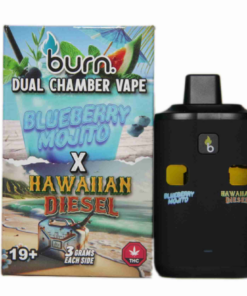 Burn Dual Vape (6g) - Blueberry Cheese + AMG