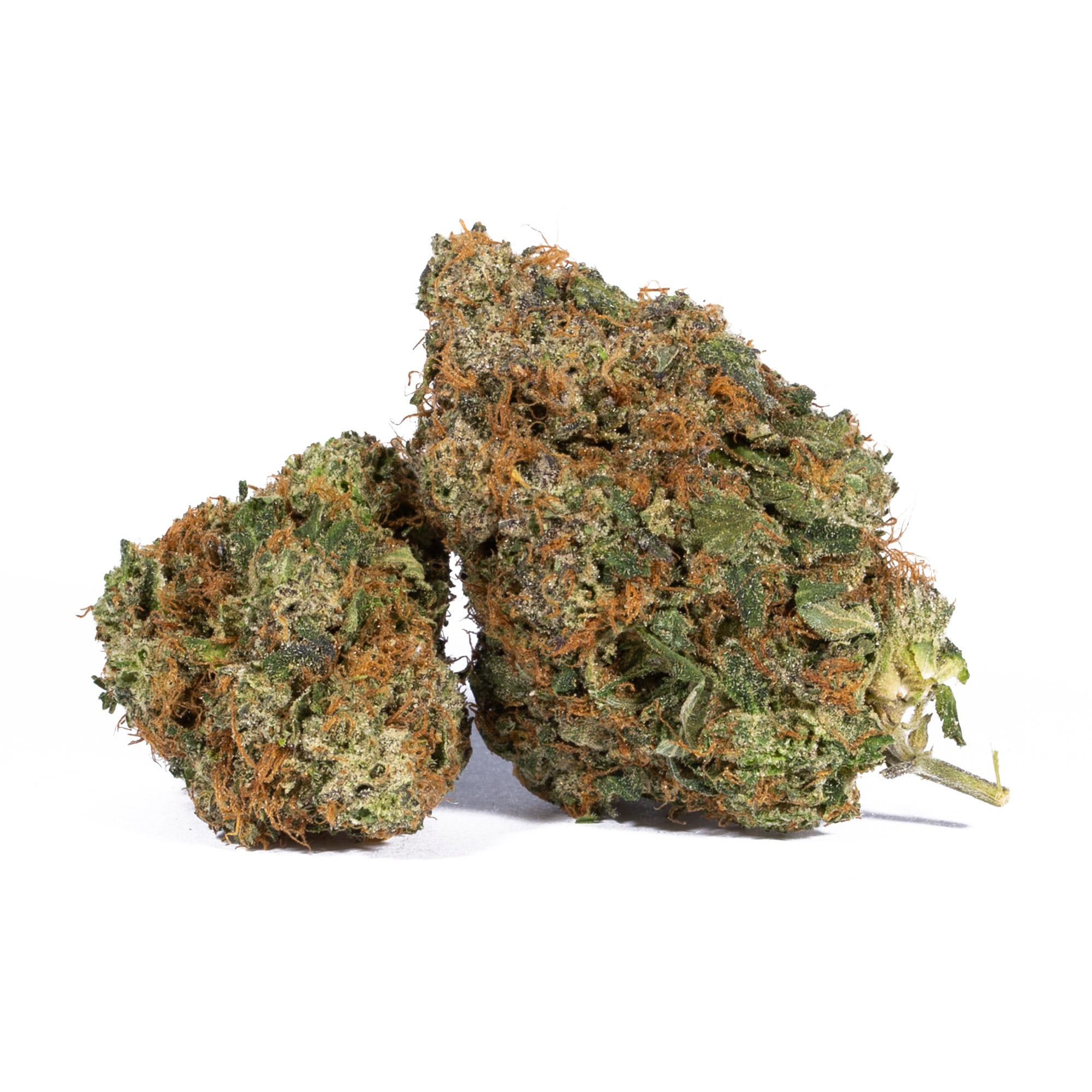 PINK-GORILLA-1.jpg