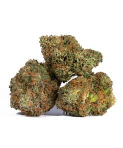 PINK-GORILLA-2.jpg