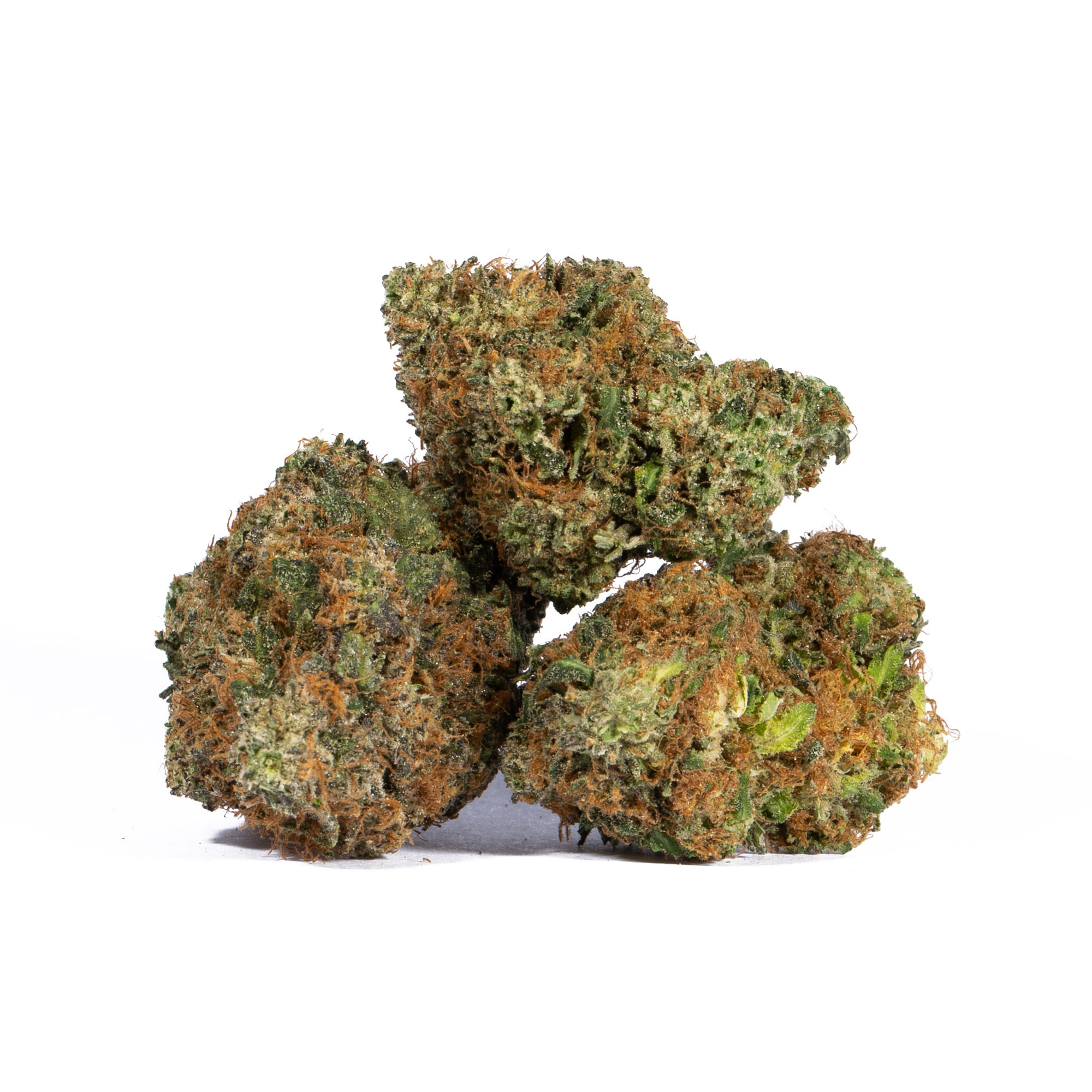 PINK-GORILLA-2.jpg