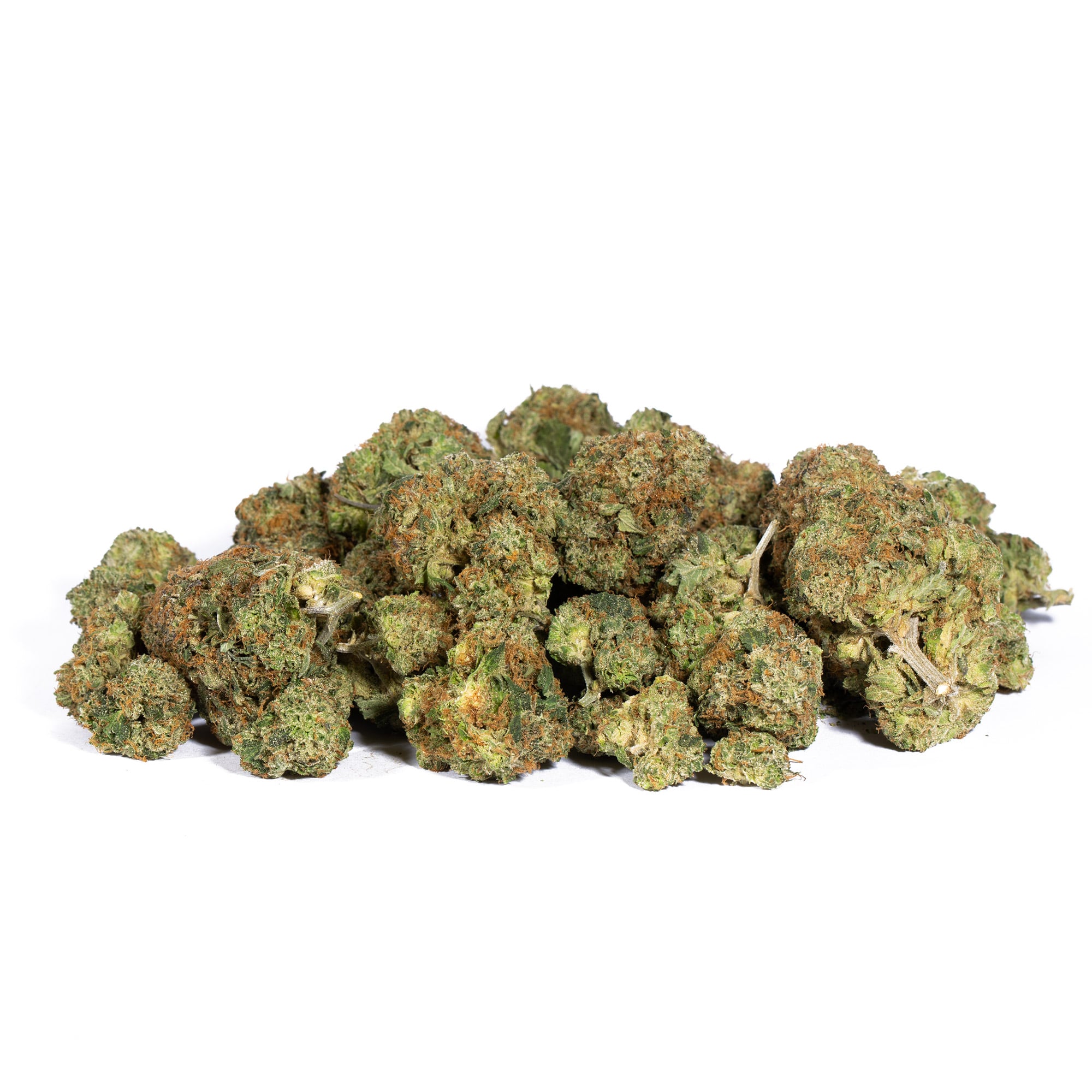 PINK-GORILLA-5.jpg