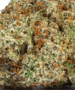 ALIEN-OG.jpg
