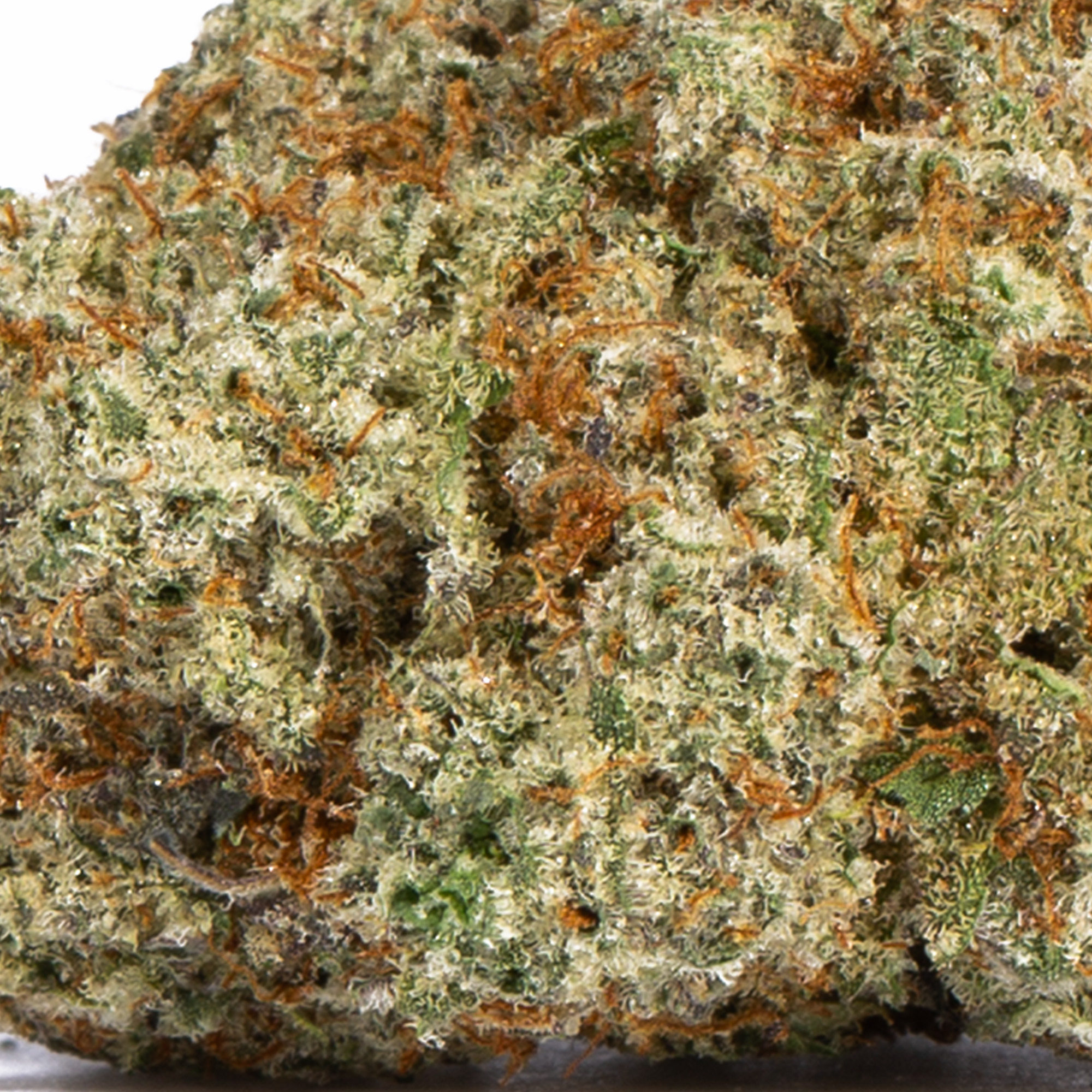 ALIEN-OG.jpg