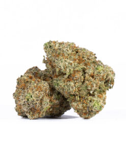 ALIEN-OG1.jpg