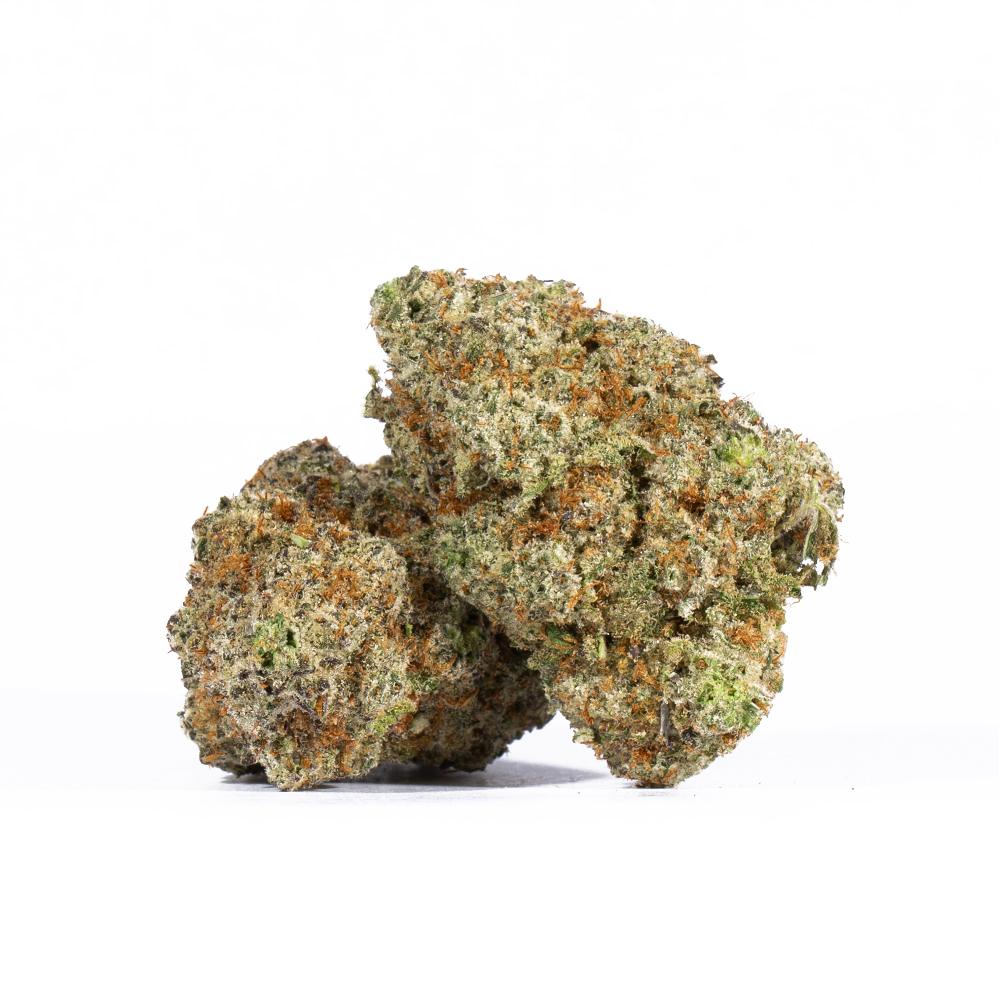 ALIEN-OG1.jpg