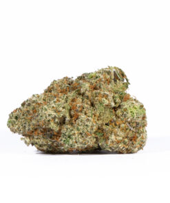 ALIEN-OG2.jpg