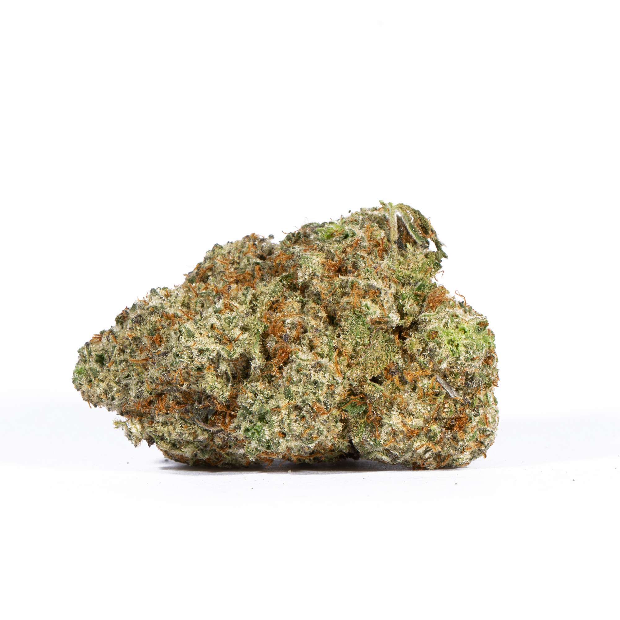 ALIEN-OG2.jpg