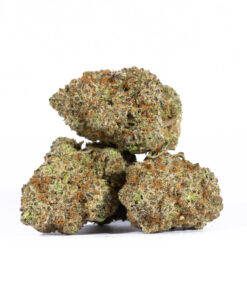 ALIEN-OG3.jpg