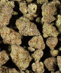 ALIEN-OG4.jpg