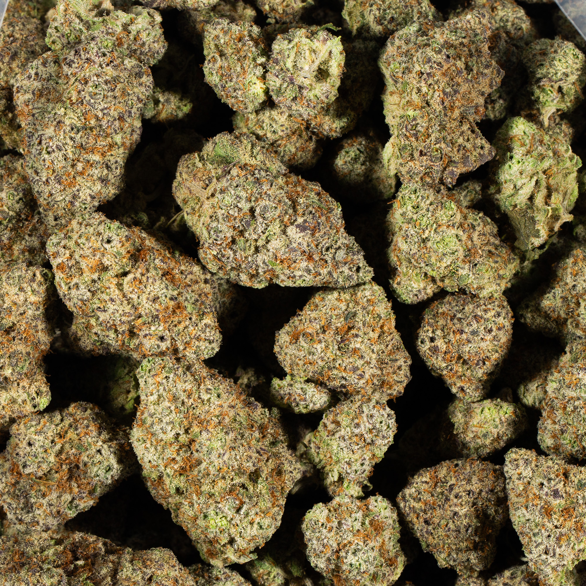 ALIEN-OG4.jpg
