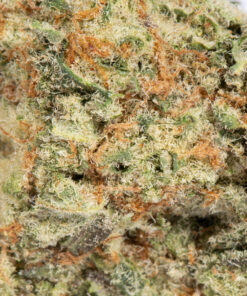 CROWN-ROYALE-224G-AAAA-FLOWER-4.jpg