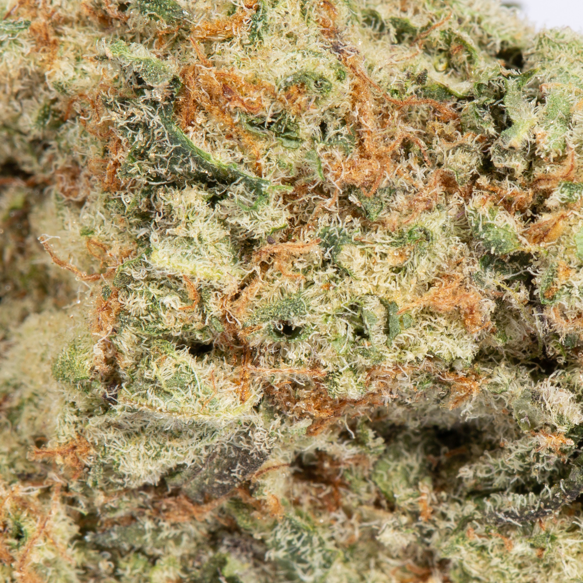 CROWN-ROYALE-224G-AAAA-FLOWER-4.jpg