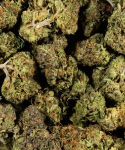 LEMON-SWEET-SKUNK.jpg