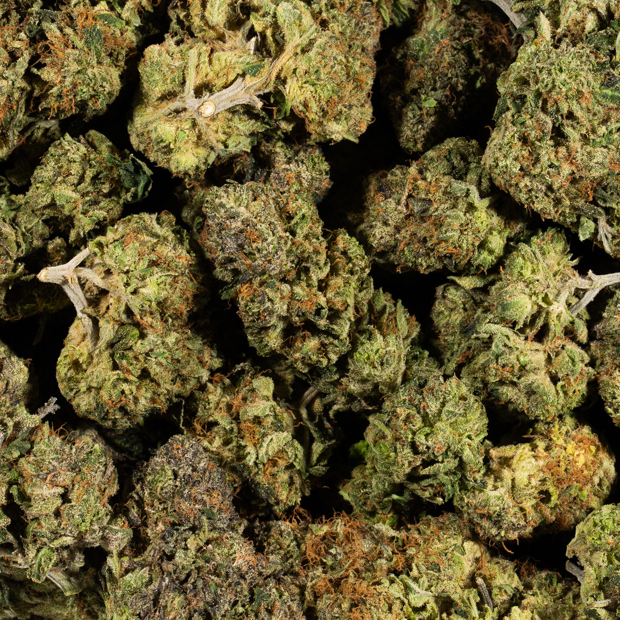 LEMON-SWEET-SKUNK.jpg