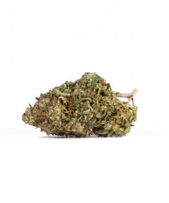 LEMON-SWEET-SKUNK2.jpg