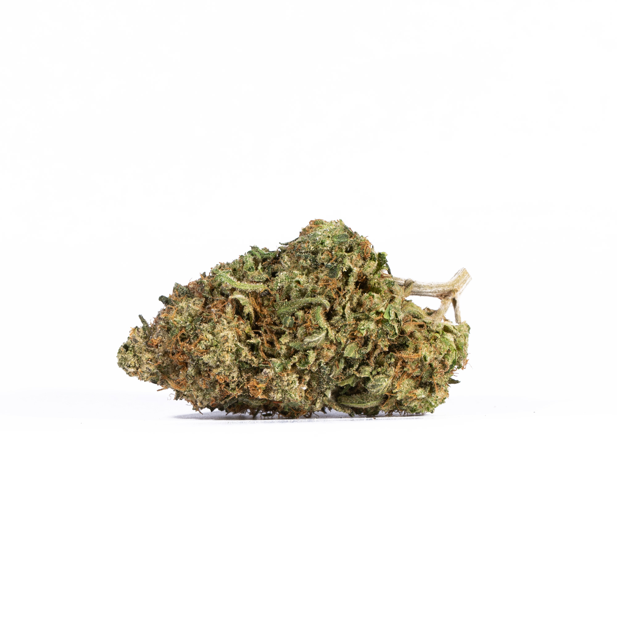 LEMON-SWEET-SKUNK2.jpg