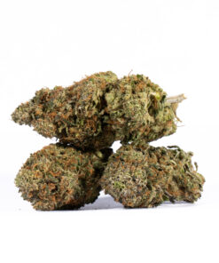 LEMON-SWEET-SKUNK3.jpg