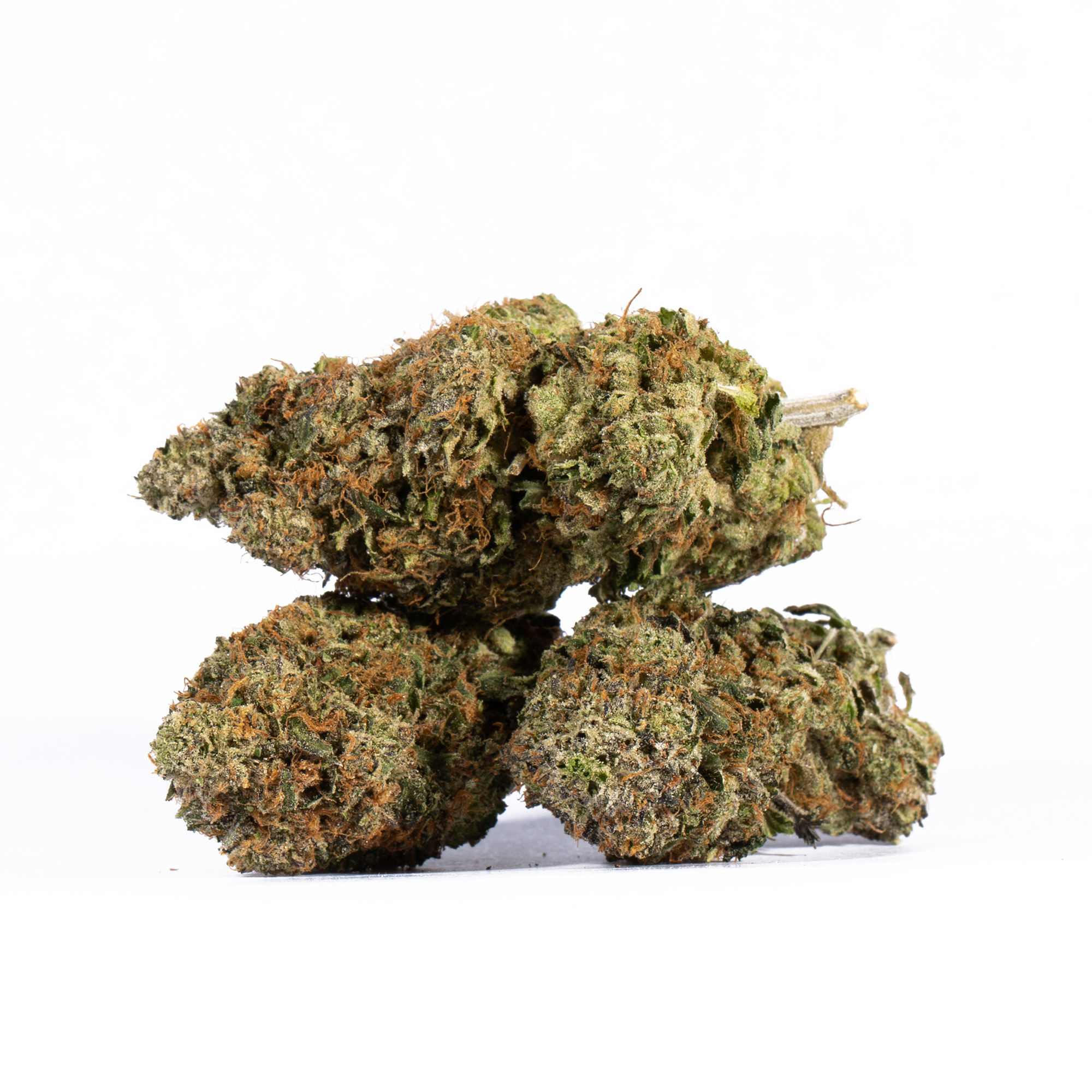 LEMON-SWEET-SKUNK3.jpg