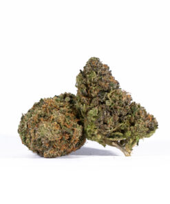 LEMON-SWEET-SKUNK4.jpg