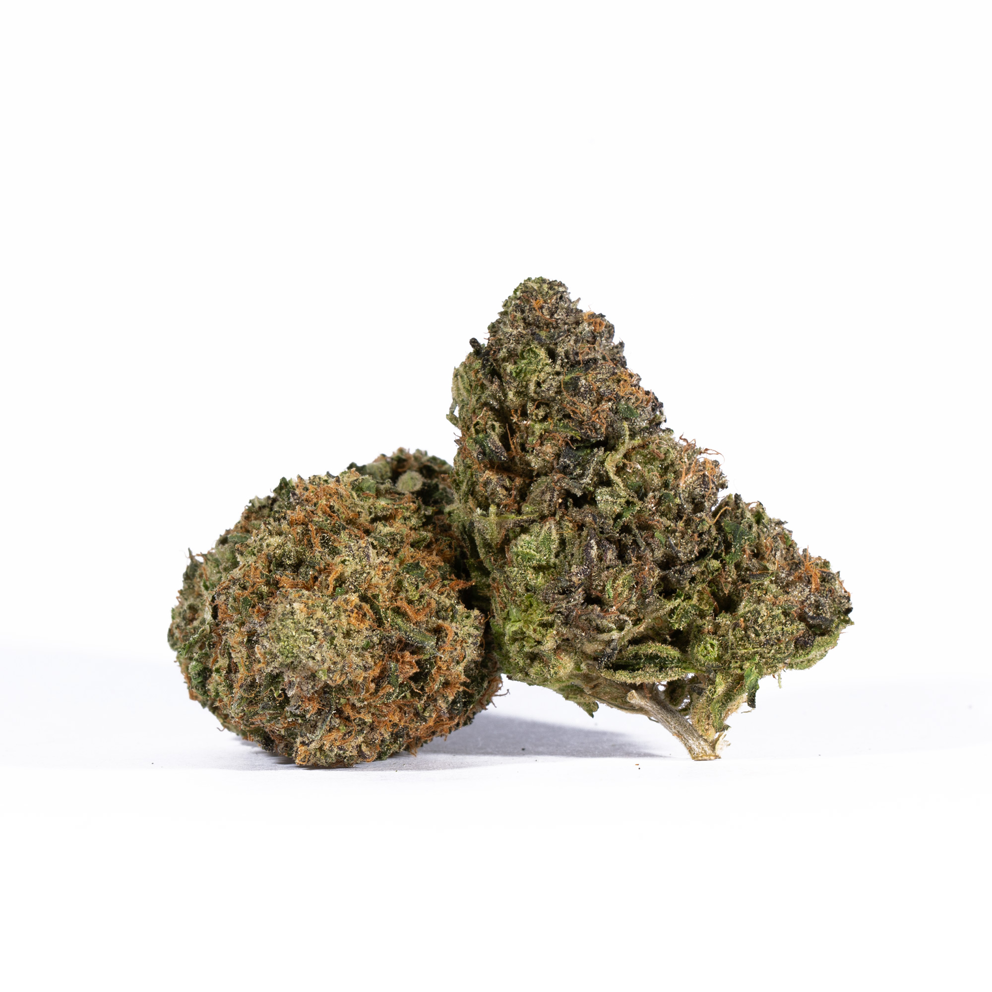 LEMON-SWEET-SKUNK4.jpg