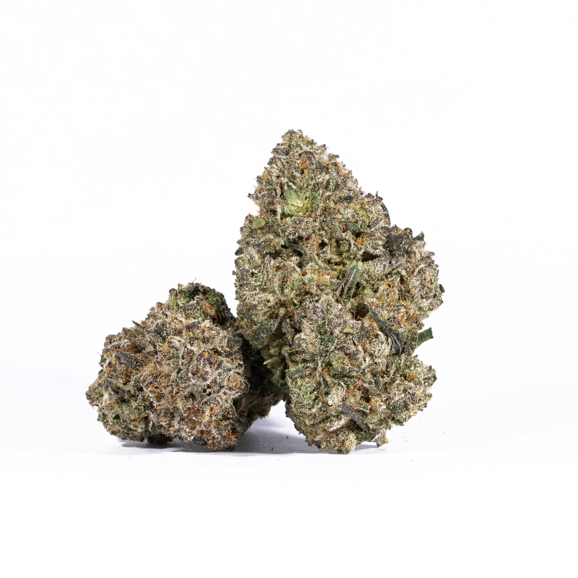 PAPAYA2.jpg