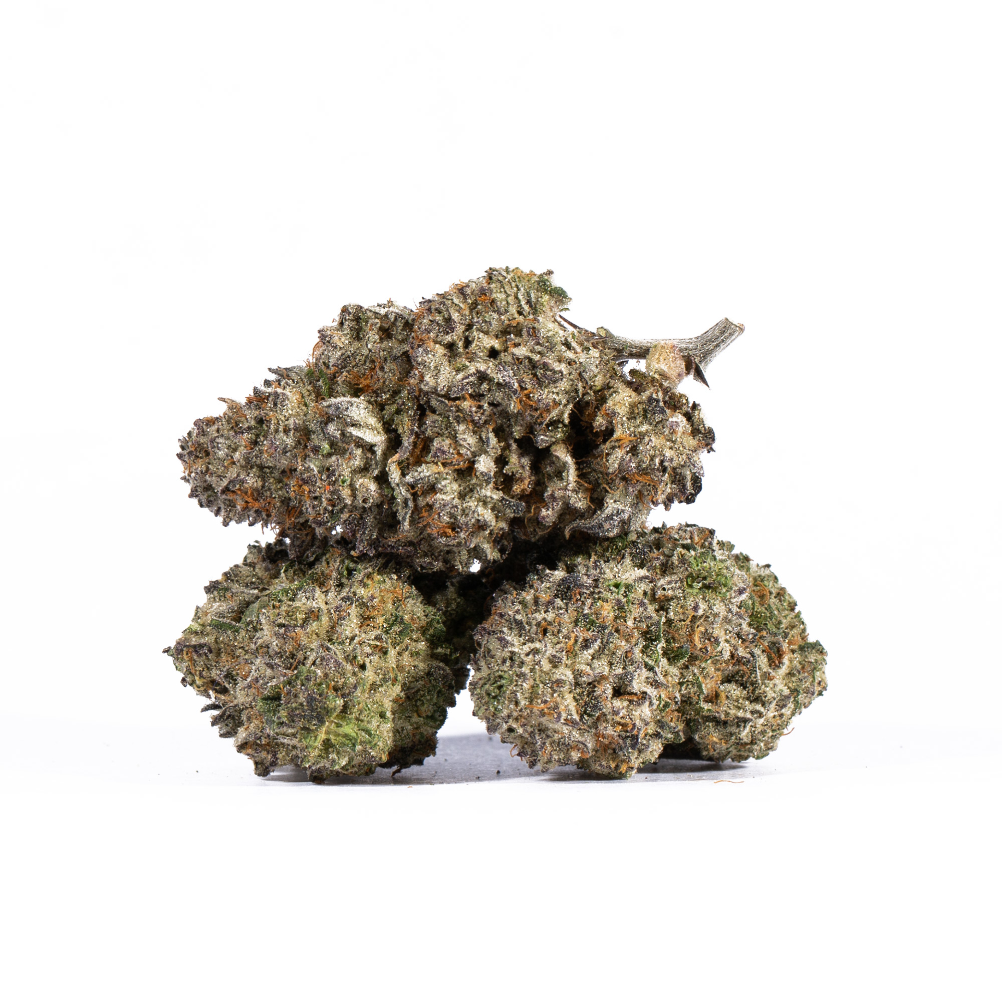 PAPAYA3.jpg
