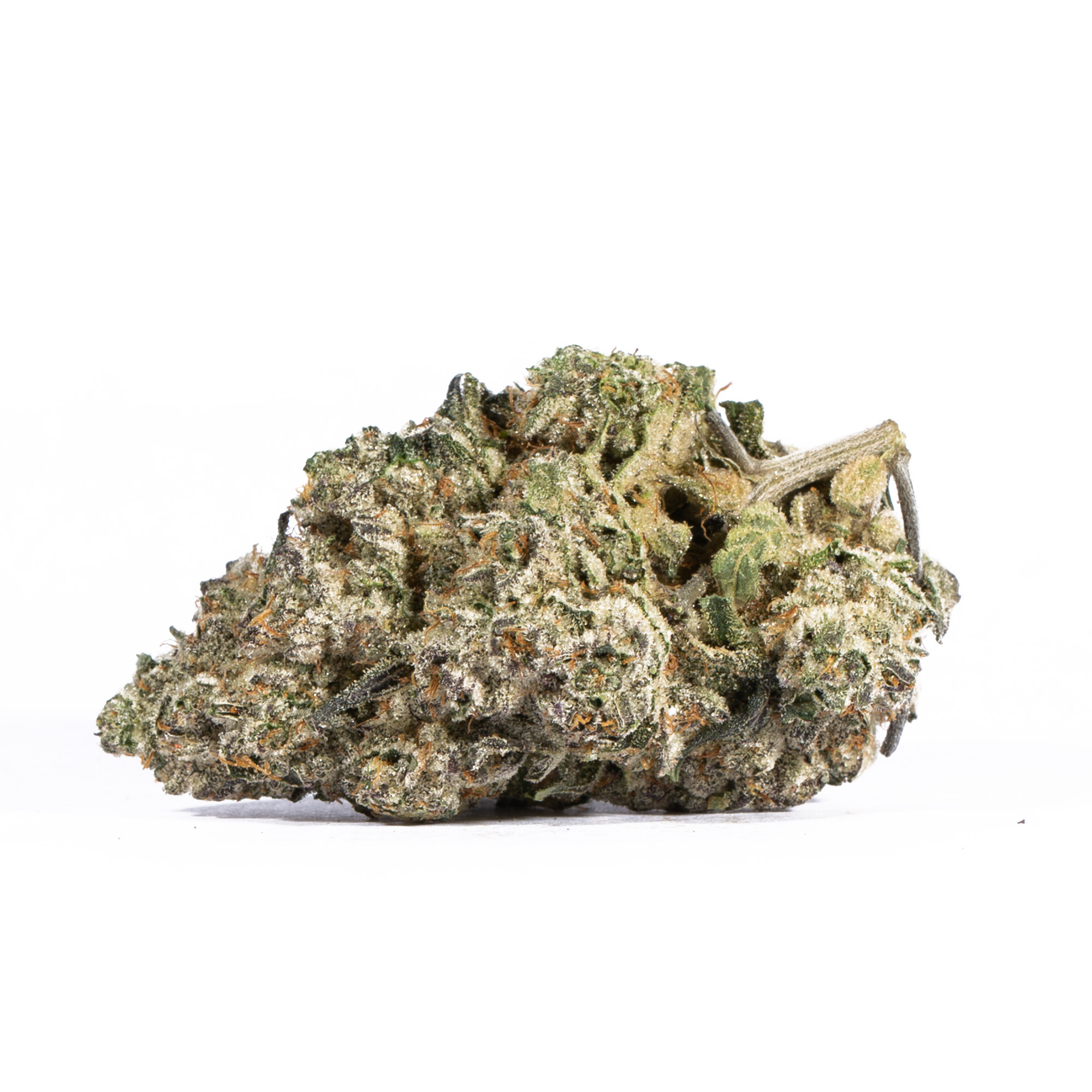 PAPAYA4.jpg