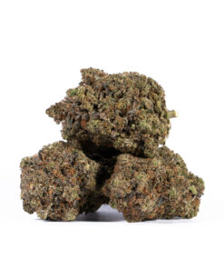 TOM-FOR-PINK-KUSH.jpg