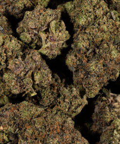 TOM-FOR-PINK-KUSH2.jpg