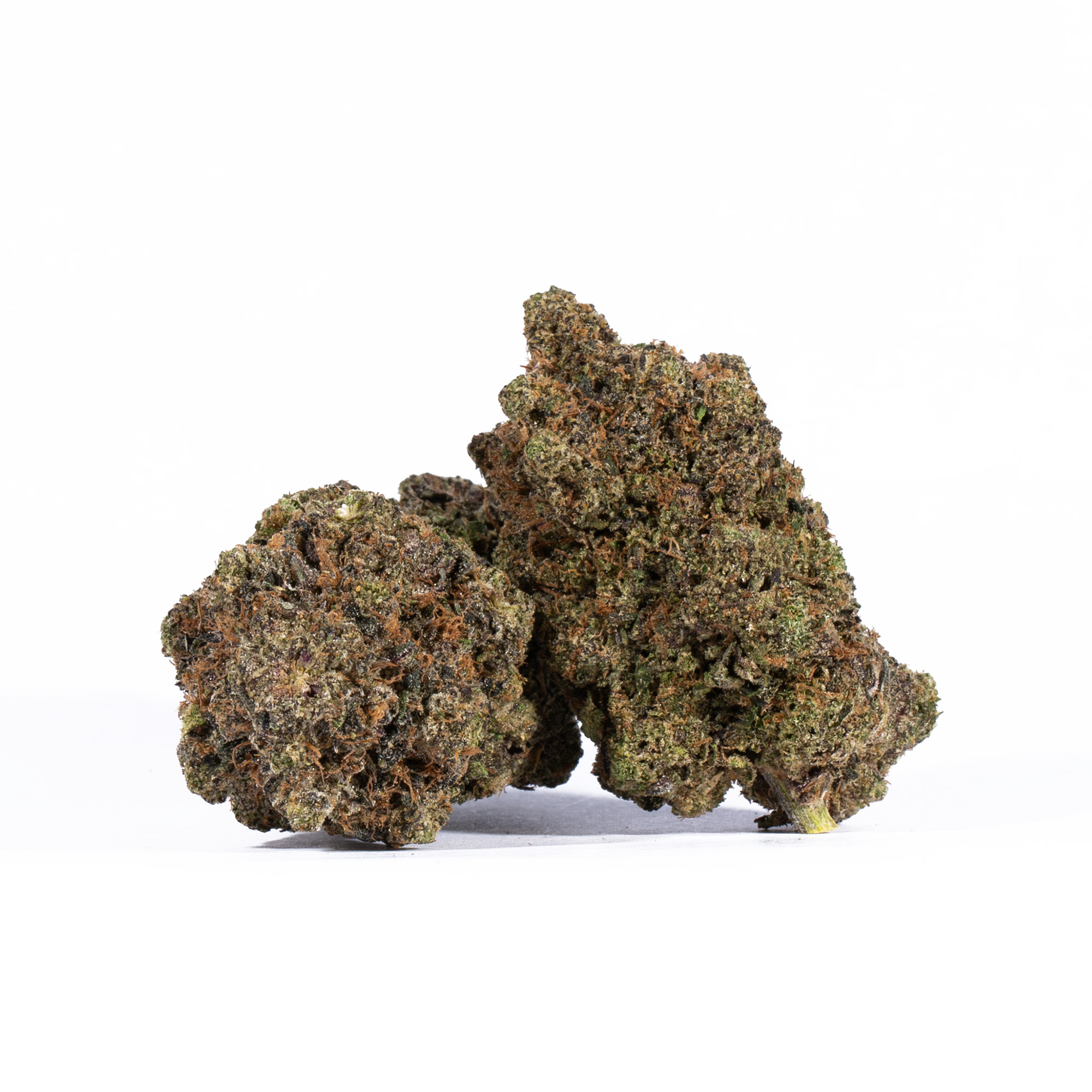 TOM-FOR-PINK-KUSH3.jpg
