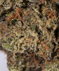 TOM-FOR-PINK-KUSH4.jpg