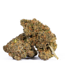 TROPIC-THUNDER-224G-AAAA-1.jpg