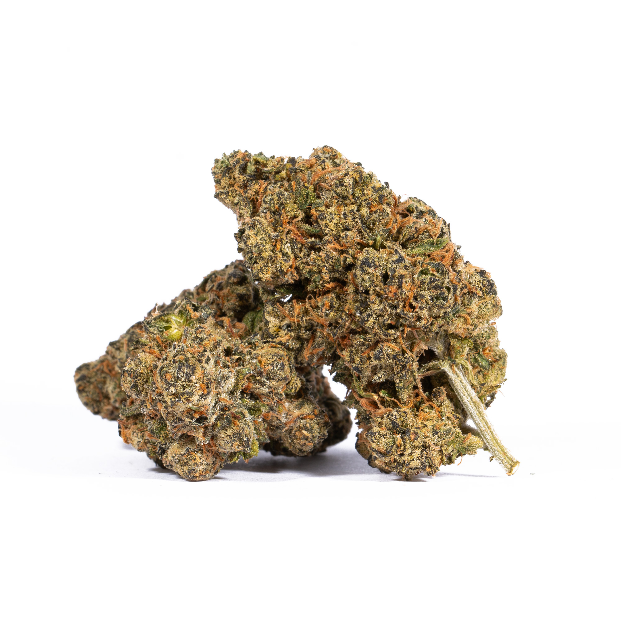TROPIC-THUNDER-224G-AAAA-1.jpg
