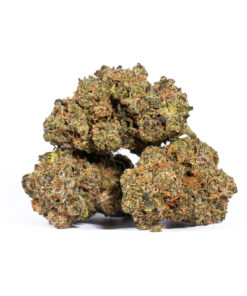 TROPIC-THUNDER-224G-AAAA-2.jpg