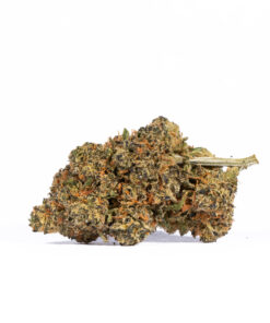 TROPIC-THUNDER-224G-AAAA-3.jpg
