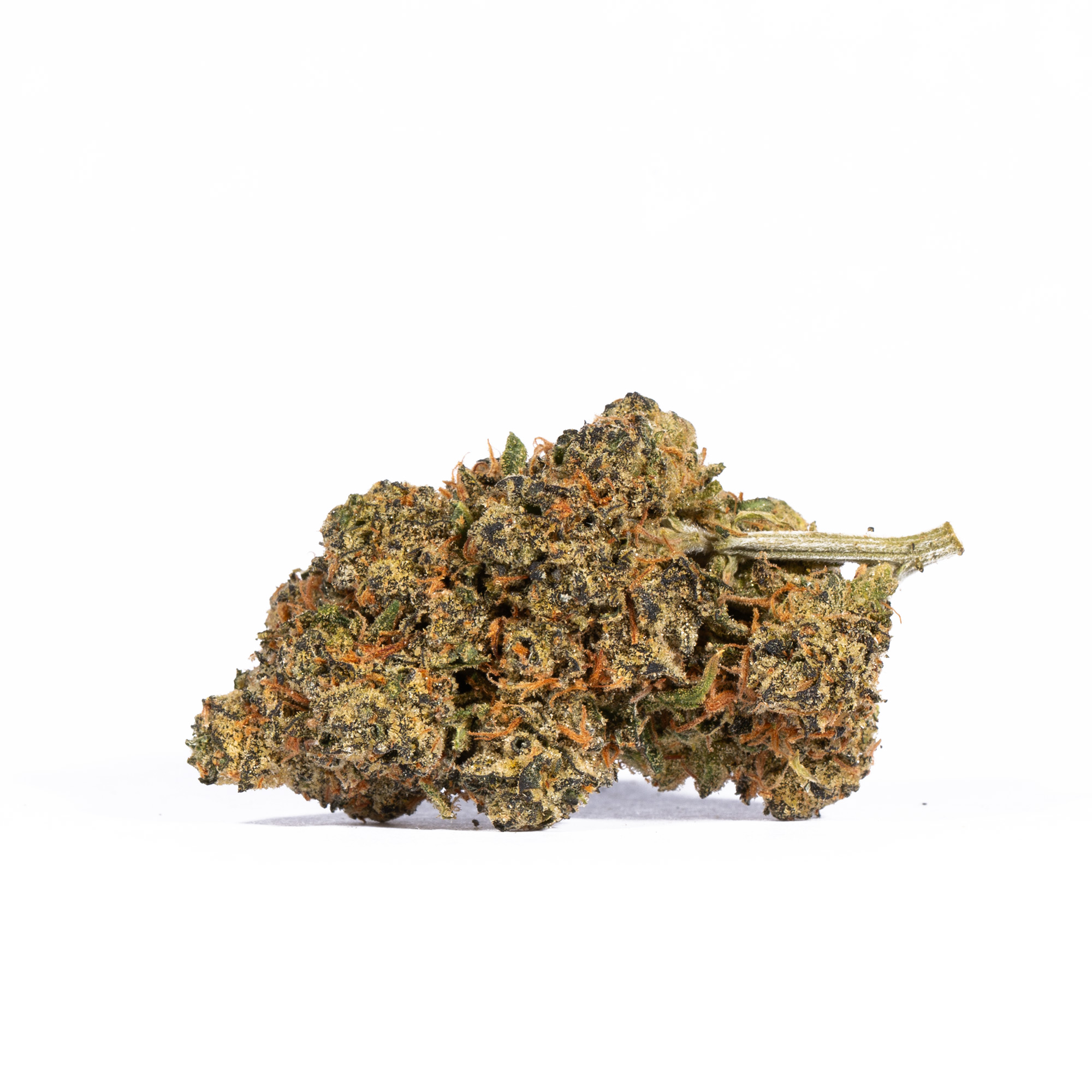 TROPIC-THUNDER-224G-AAAA-3.jpg