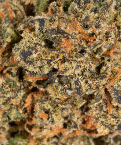 TROPIC-THUNDER-224G-AAAA-4.jpg